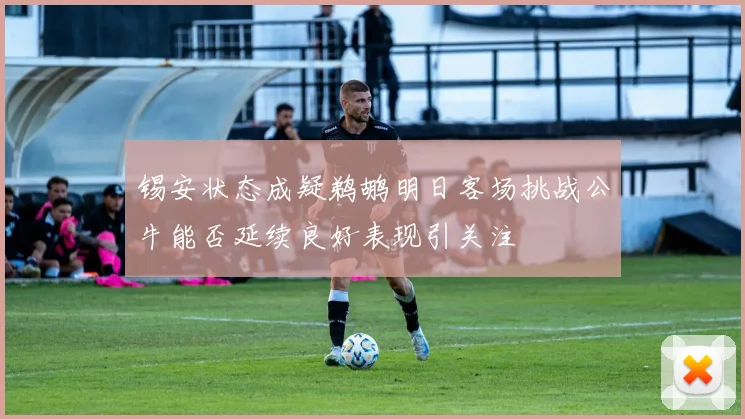 锡安状态成疑鹈鹕明日客场挑战公牛能否延续良好表现引关注