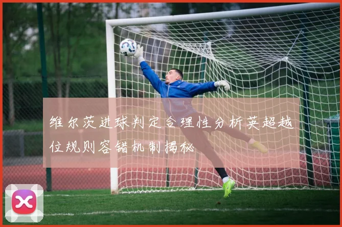 维尔茨进球判定合理性分析英超越位规则容错机制揭秘