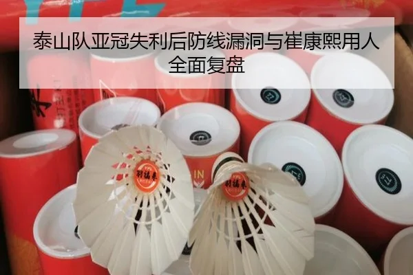 泰山队亚冠失利后防线漏洞与崔康熙用人全面复盘 | milan