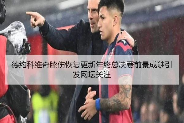 德约科维奇膝伤恢复更新年终总决赛前景成谜引发网坛关注 | milan